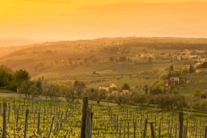 Tour Privado de Chianti, Siena e San Gimignano de Minivan