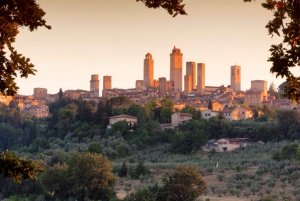 Private Tour of Chianti, Siena and San Gimignano by Minivan