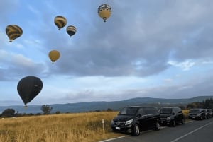 Prywatna wycieczka minivanem po Chianti, Sienie i San Gimignano