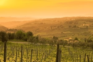 Prywatna wycieczka minivanem po Chianti, Sienie i San Gimignano