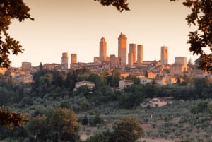 Prywatna wycieczka minivanem po Chianti, Sienie i San Gimignano
