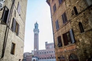 Private Tuscany Tour to Siena and San Gimignano with Lunch