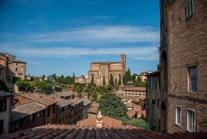 Private Tuscany Tour to Siena and San Gimignano with Lunch