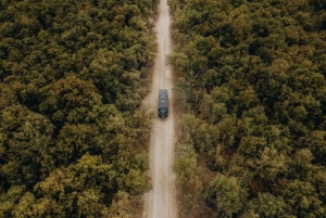 Privétour Toscane: Chianti wijnsafari vanuit Florence