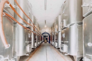 Privétour Toscane: Chianti wijnsafari vanuit Florence