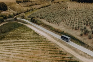 Privétour Toscane: Chianti wijnsafari vanuit Florence