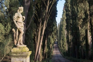 Privétour Toscane: Chianti wijnsafari vanuit Florence