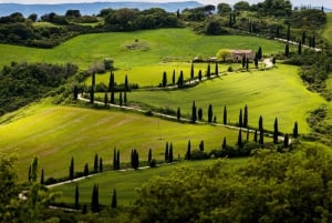 ENOTURISMO ROMÁNTICO PARA 2 - Enoturismo en Chianti (Toscana)