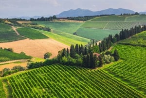 ENOTURISMO ROMÁNTICO PARA 2 - Enoturismo en Chianti (Toscana)