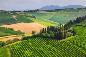 ROMANTYCZNA WYCIECZKA WINNA DLA 2 OSÓB - Wycieczka winna w Chianti (Toskania)