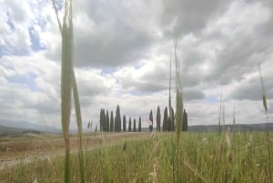 Rom - Toskana (Florenz) Privater Transfer und Tour