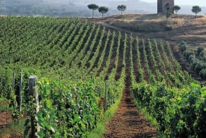 Rom - Toskana (Florenz) Privater Transfer und Tour