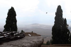 Rom - Toskana (Florenz) Privater Transfer und Tour