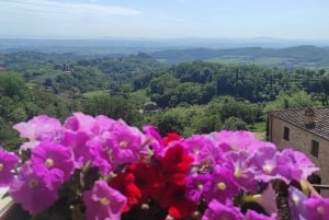 Rom - Toskana (Florenz) Privater Transfer und Tour