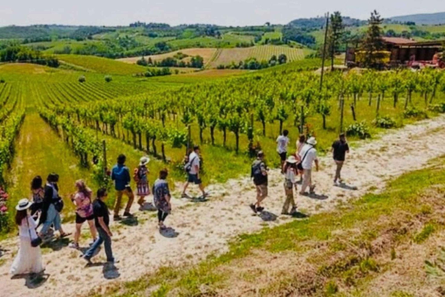 SAN GIMIGNANO: Gourmet- og vinoplevelse