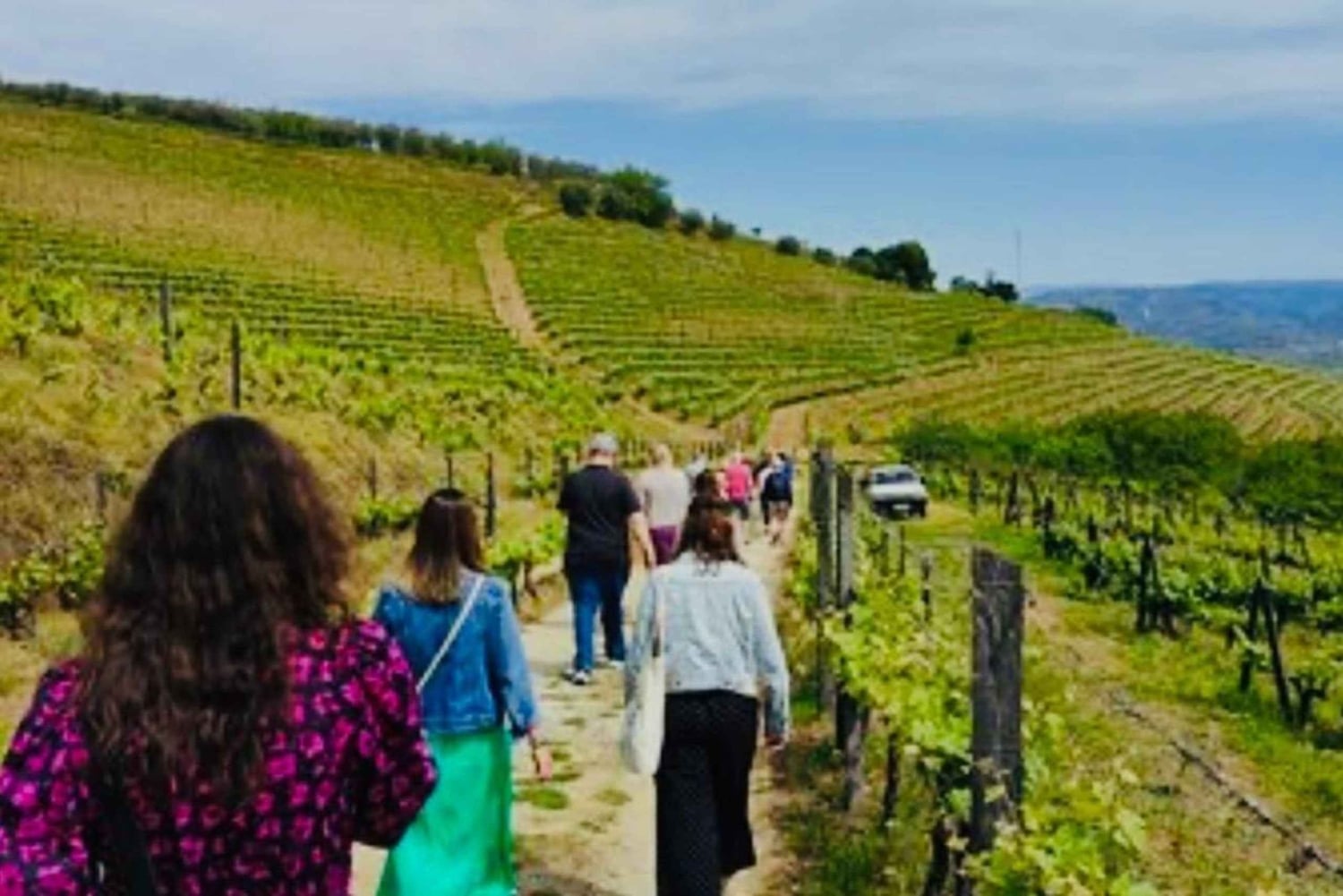 SAN GIMIGNANO: Gourmet- og vinoplevelse