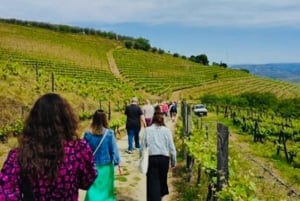 SAN GIMIGNANO: Gourmet- og vinoplevelse