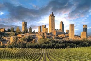 Florencia: Visita a San Gimignano + Degustación de Vinos y Queso Chianti