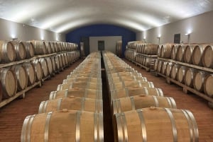 Florencia: Visita a San Gimignano + Degustación de Vinos y Queso Chianti