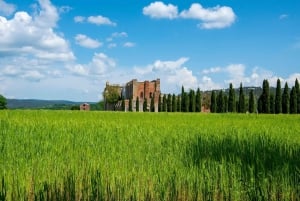San Gimignano, Volterra, St Galgano Abbey small group tour