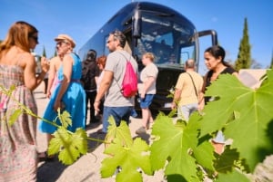 San Gimignano, Volterra, St Galgano Abbey small group tour