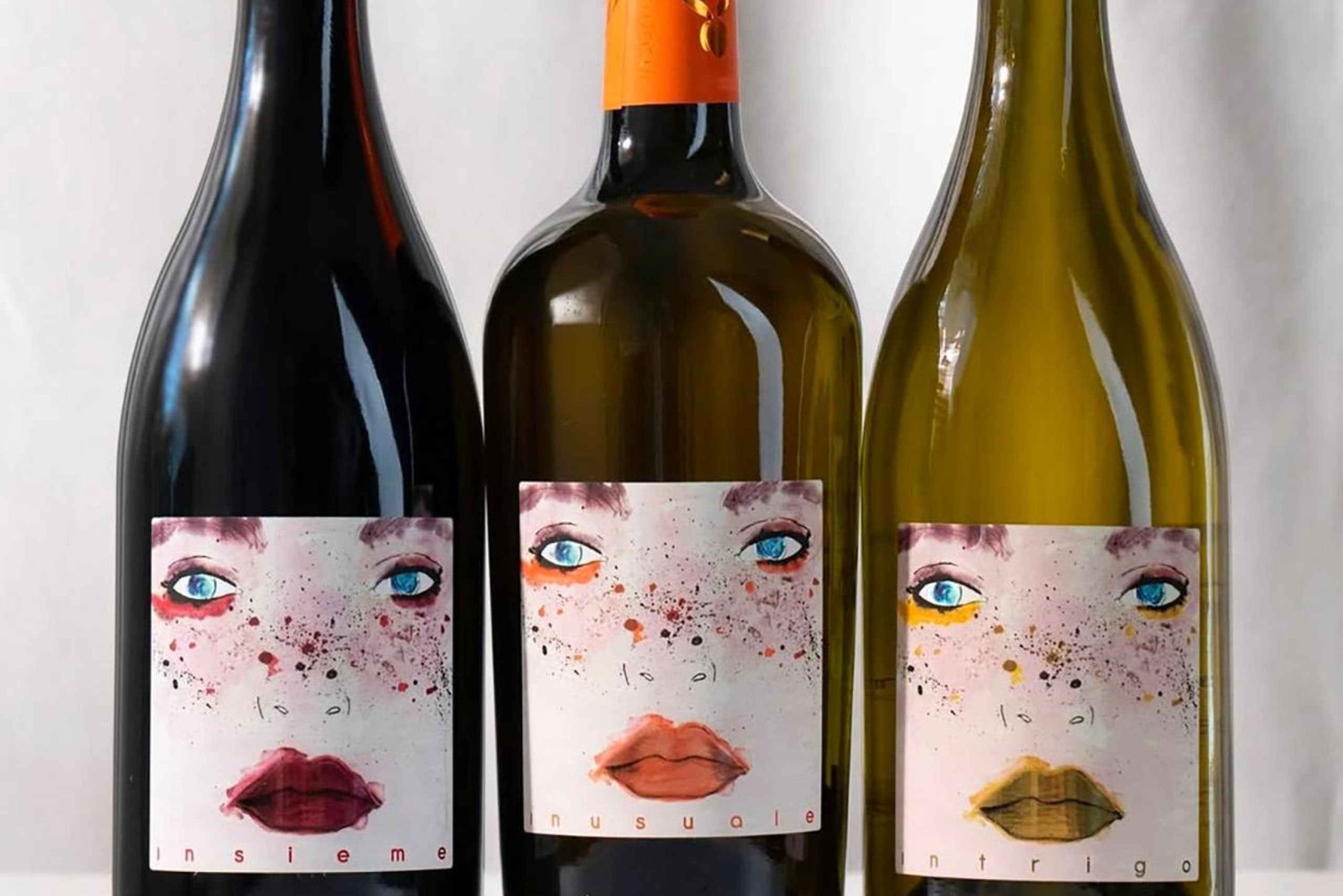 San Miniato: experiência de degustação de vinho e azeite orgânicos