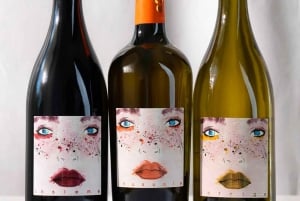 San Miniato: degustacja ekologicznego wina i oliwy z oliwek