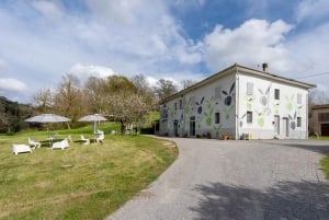 San Miniato: degustacja ekologicznego wina i oliwy z oliwek