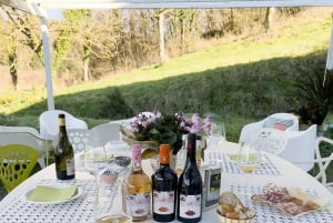 San Miniato: degustacja ekologicznego wina i oliwy z oliwek