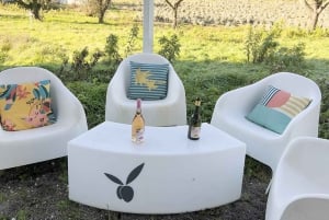 San Miniato: degustacja ekologicznego wina i oliwy z oliwek