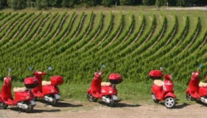 Scooterbella
