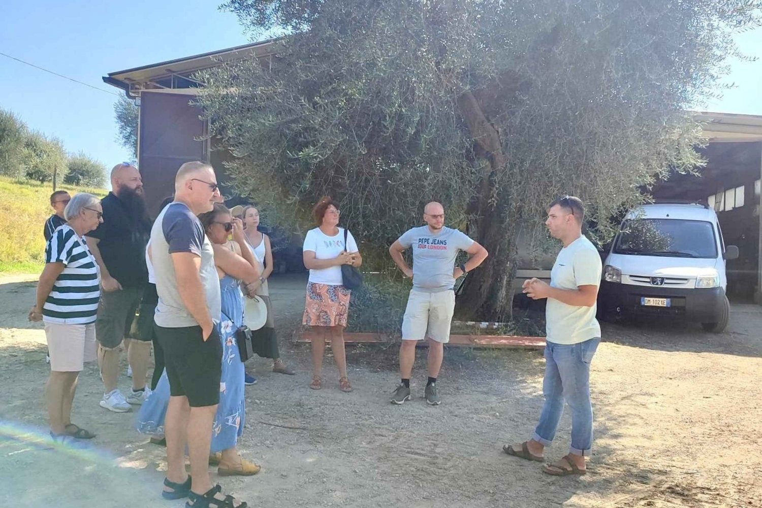 Seggiano: Typisk toskansk bondgårdstur med olivoljeprovning