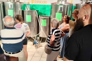 Seggiano: Visita a uma fazenda tÃpica da Toscana com degustação de azeite de oliva