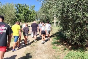 Seggiano: Wycieczka po typowym toskańskim gospodarstwie z degustacją oliwy z oliwek