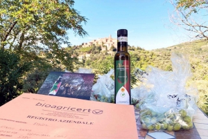 Seggiano: Typisk toscansk bondegårdstur med olivenoliesmagning