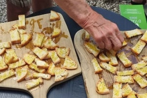 Seggiano: Visita a uma fazenda tÃpica da Toscana com degustação de azeite de oliva