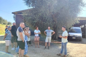 Seggiano: Typisk toscansk bondegårdstur med olivenoliesmagning