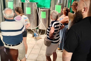 Seggiano: Typisk toscansk bondegårdstur med olivenoliesmagning