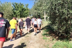 Seggiano: Typisk toscansk bondegårdstur med olivenoliesmagning