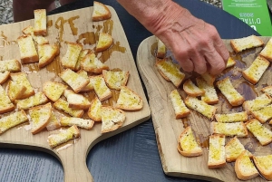 Seggiano: Typisk toscansk bondegårdstur med olivenoliesmagning