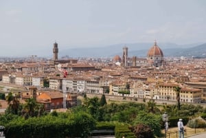 Landutflukt til Firenze fra Livorno
