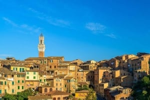 Siena: geleide wandeling van 2 uur en voorrang Duomo