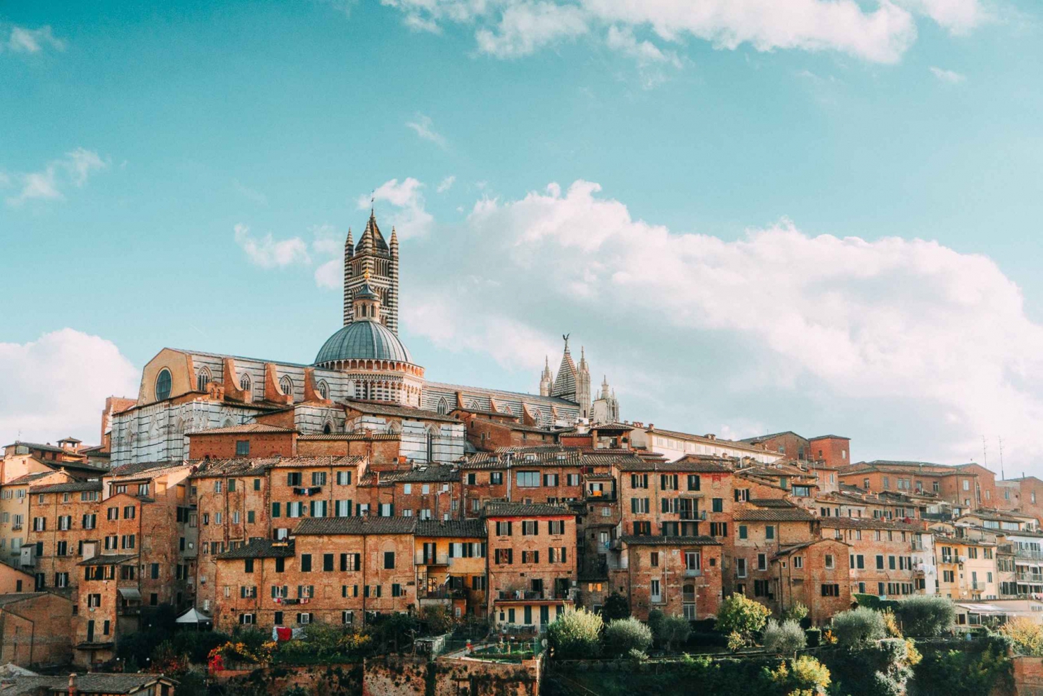 Halvdagsudflugt til Siena fra Firenze