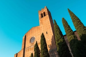 Siena halvdagstur fra Firenze