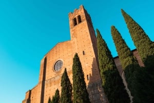 Halvdagstur til Siena fra Firenze