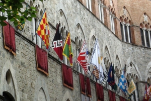 Siena, San Gimignano i Chianti: wycieczka 1-dniowa z Florencji