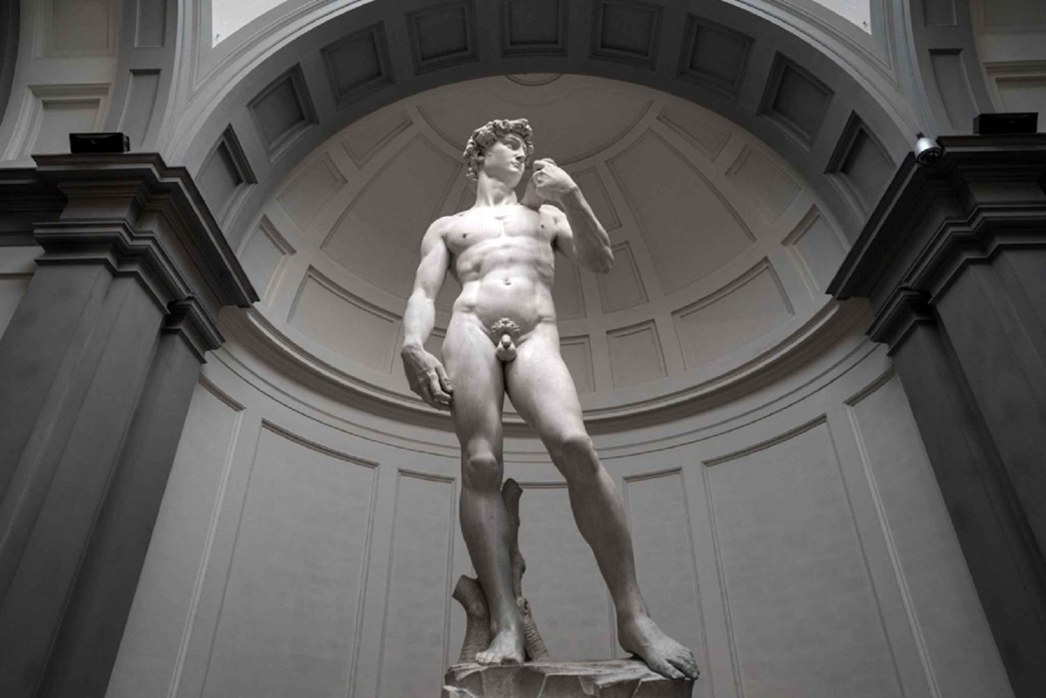 Florence: Skip the line Accademia Gallery Tour