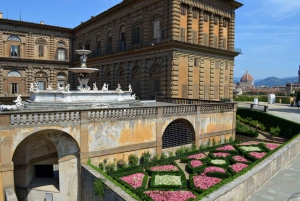 Skip-the-line Palazzo Pitti and Boboli Gardens Private Tour