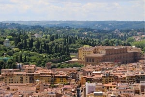 Florence: Pitti Palace & Boboli Garden Ticket & Audio Guide