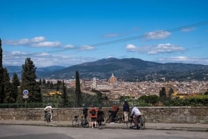 Tour en E-bike al atardecer por las Colinas Toscanas y Florentinas con degustación